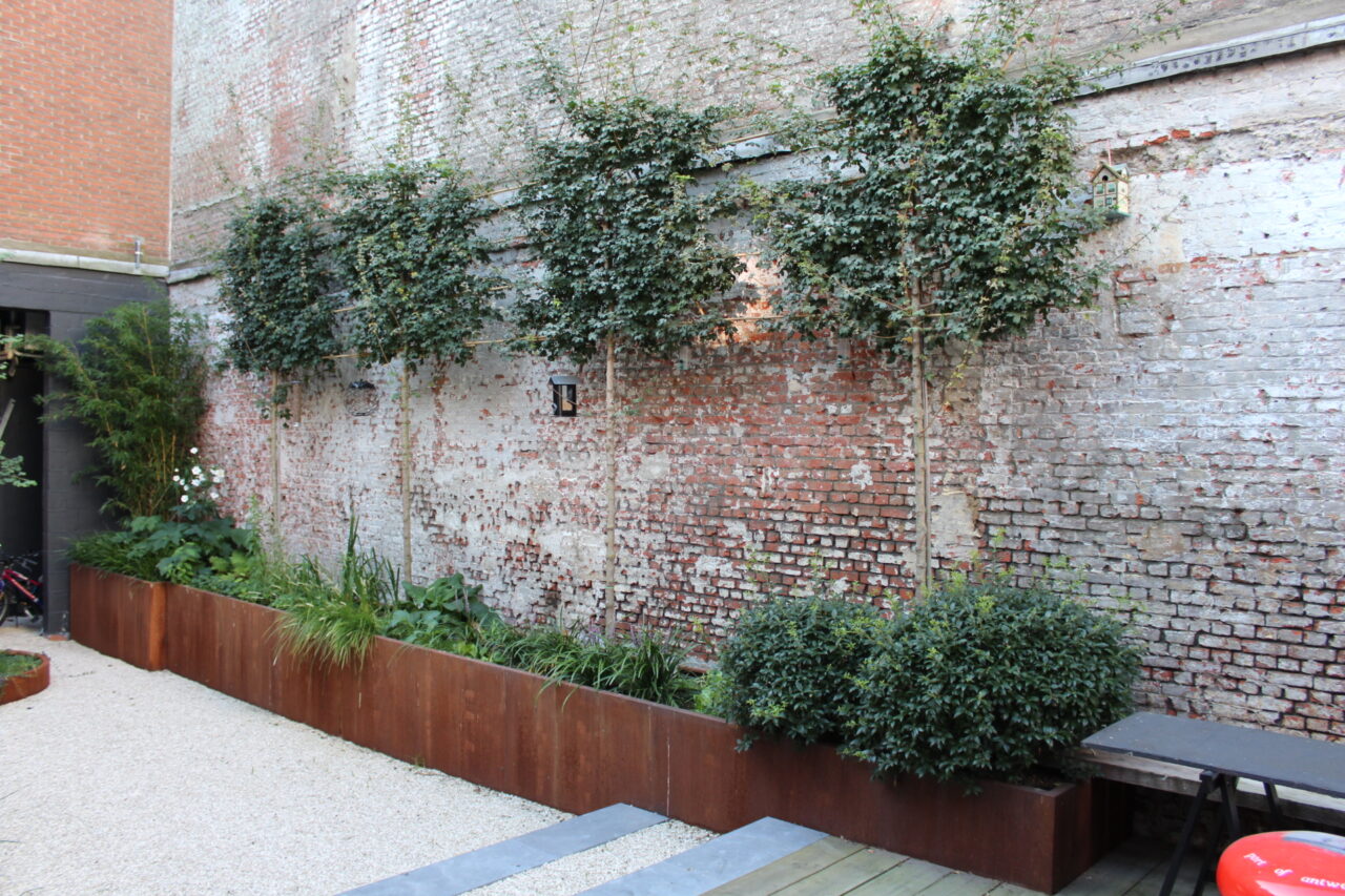 Bac en acier corten