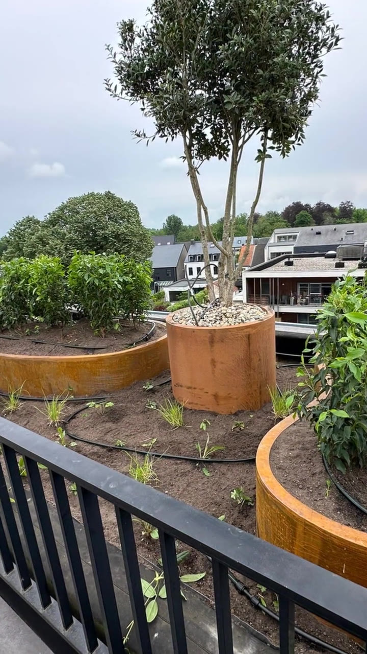 Dakterras met organische cortenstalen plantenbakken en bomen, aangelegd door Haro Tuinaannemingen