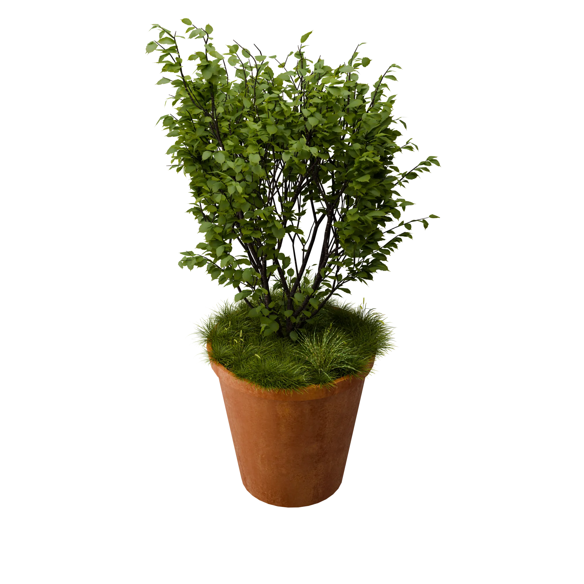 Vora Planter, Classic Round Shape
