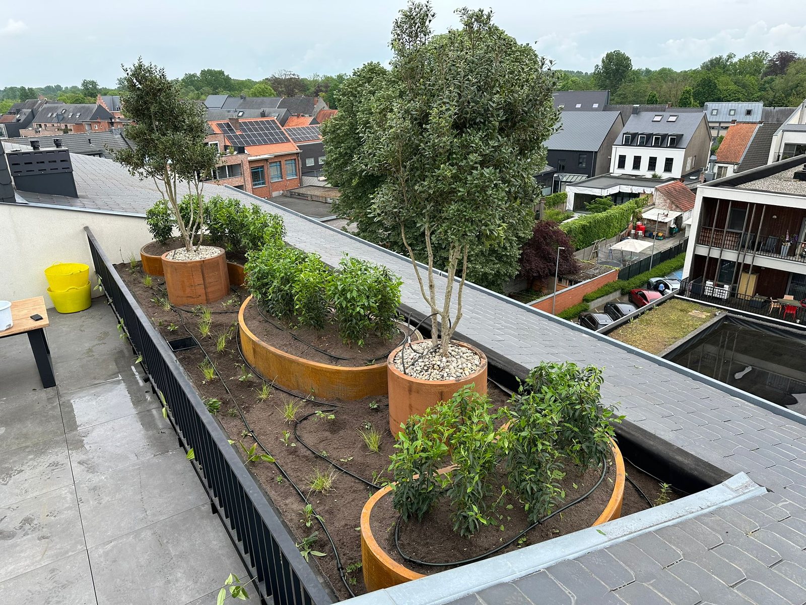 Organische en ronde cortenstalen plantenbakken langs de borstwering van het dakterras