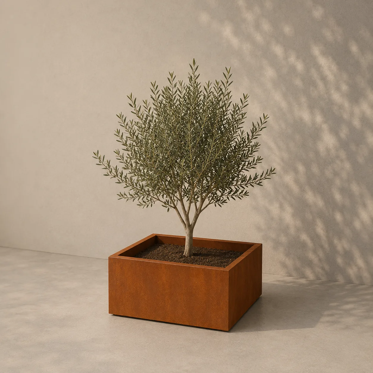 Artesa planter with bottom