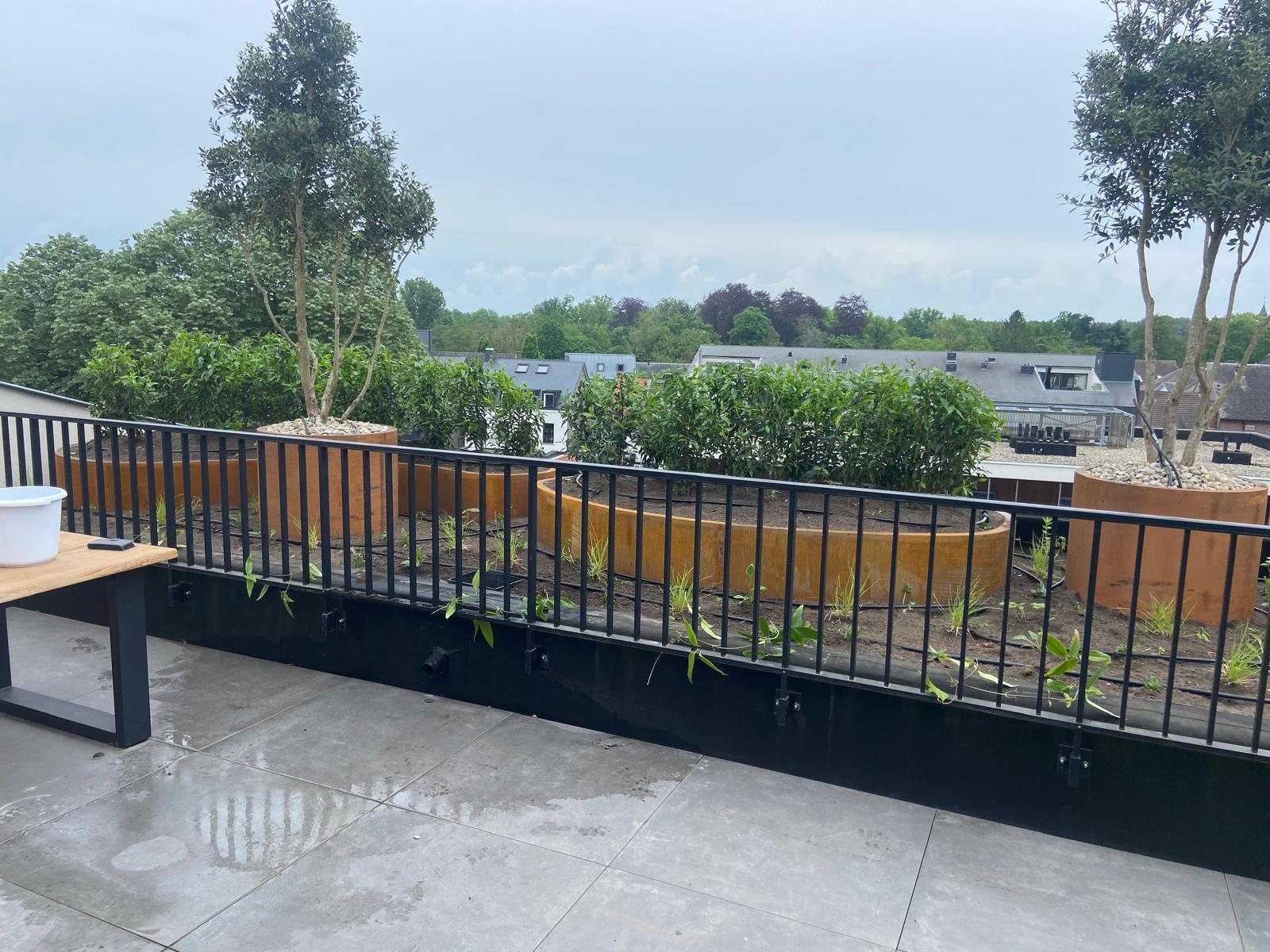 Kraan hijst een organische plantenbak naar het dakterras