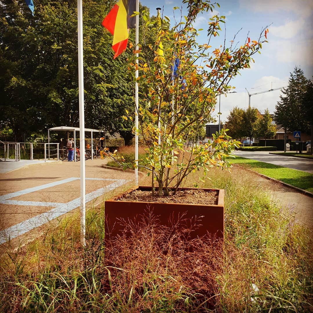 Artesa plantenbak met bodem