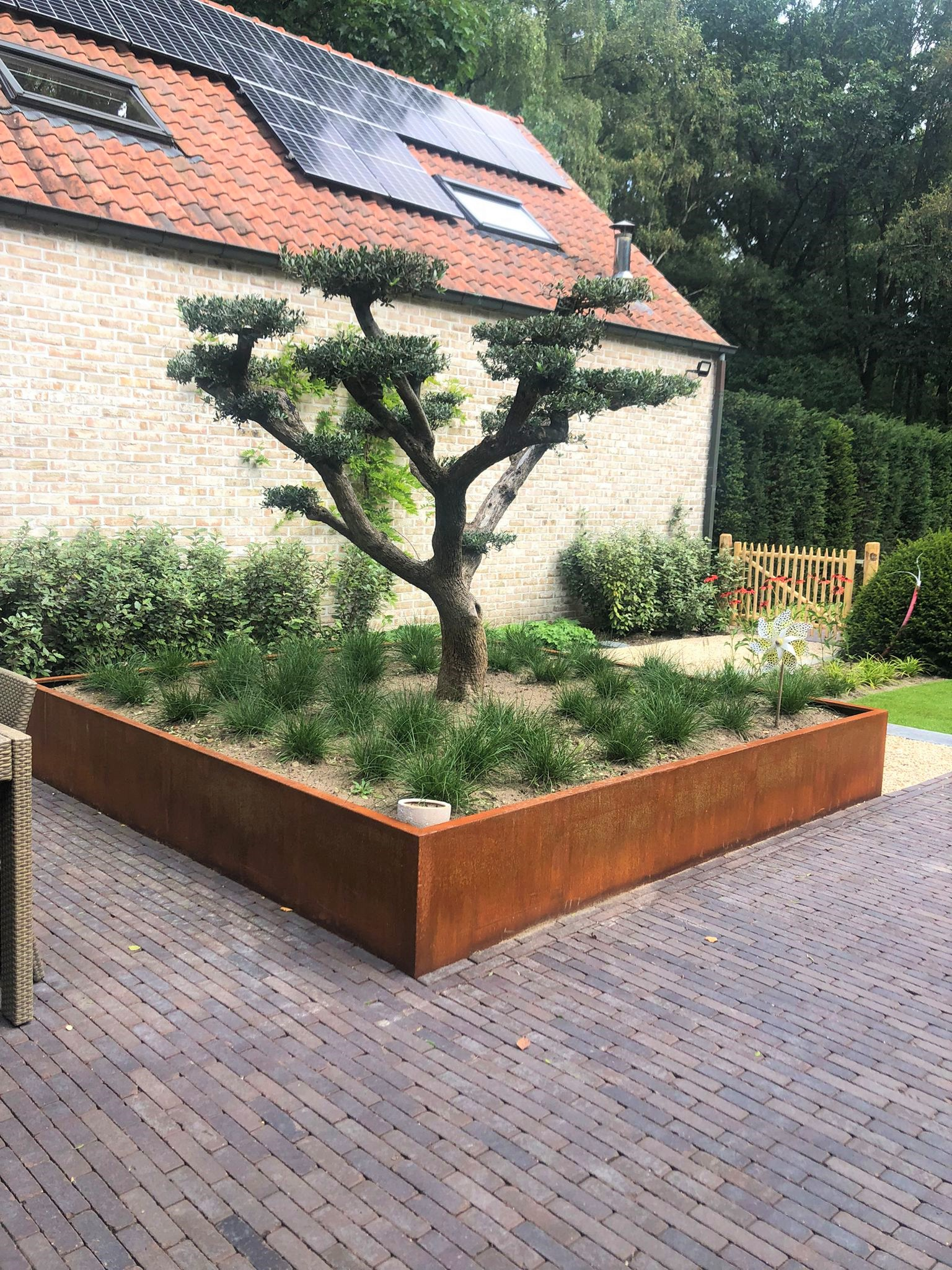Grote vierkante cortenstalen plantenbak met sierboom en siergrassen in een tuin