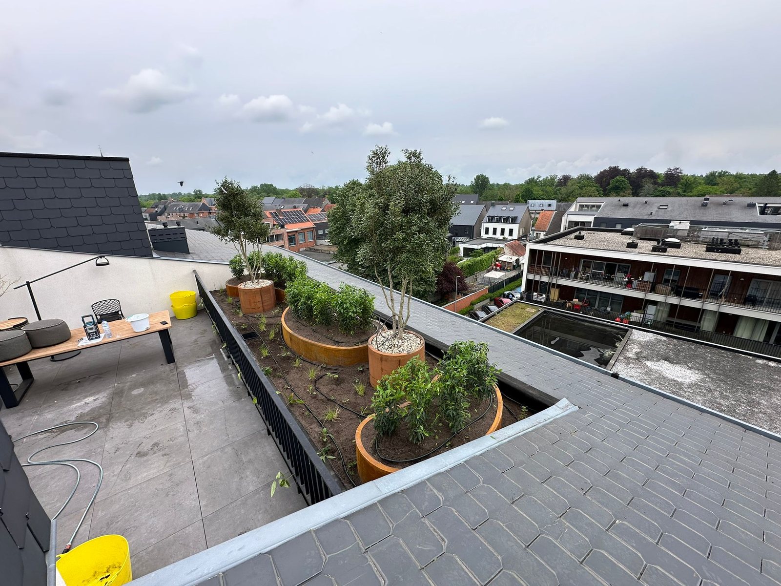 Afgewerkt dakterras met organische plantenbakken en meerstammige bomen