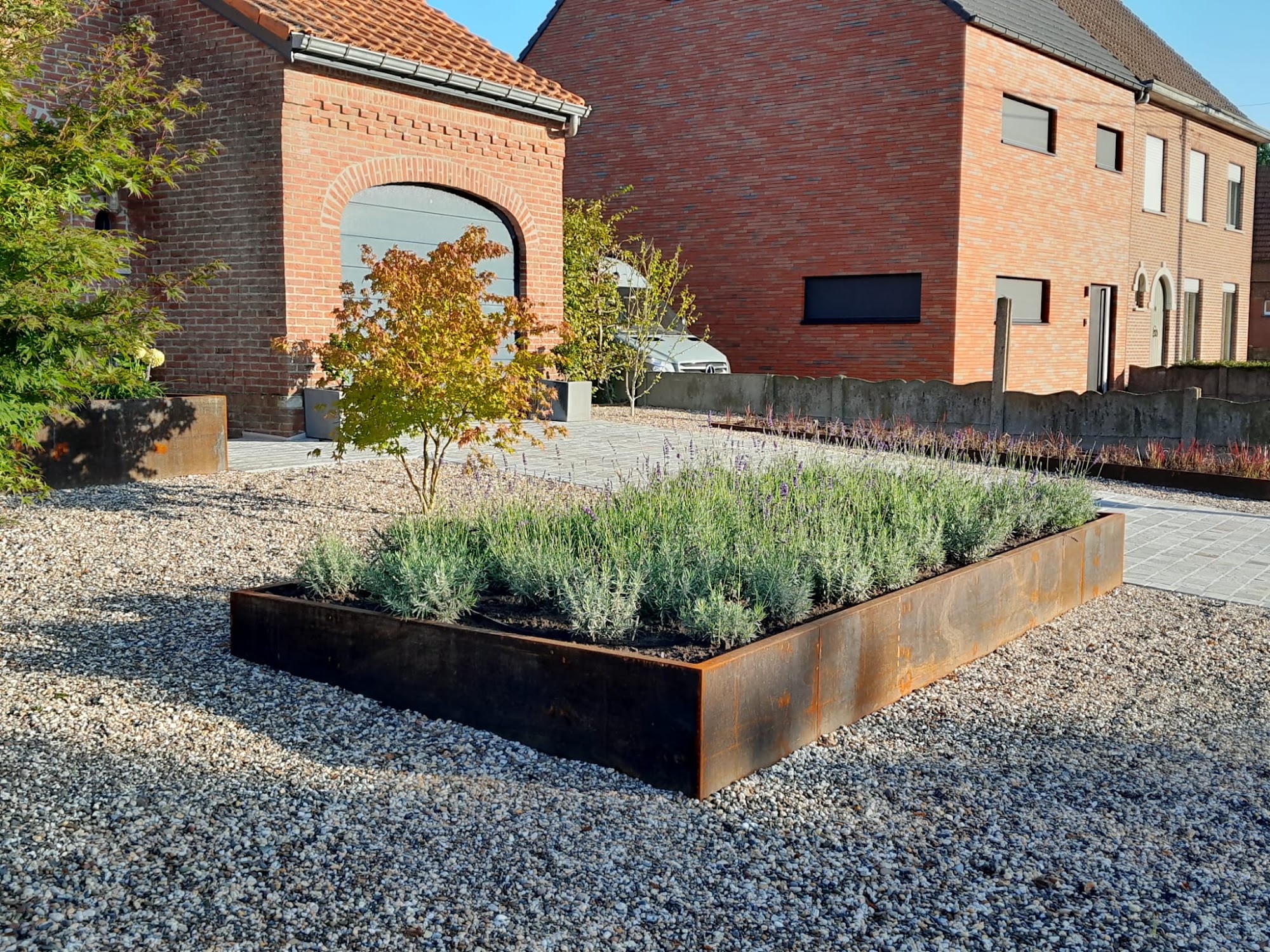Lage cortenstalen plantenbakken met lavendel op een pleintje in Gierle