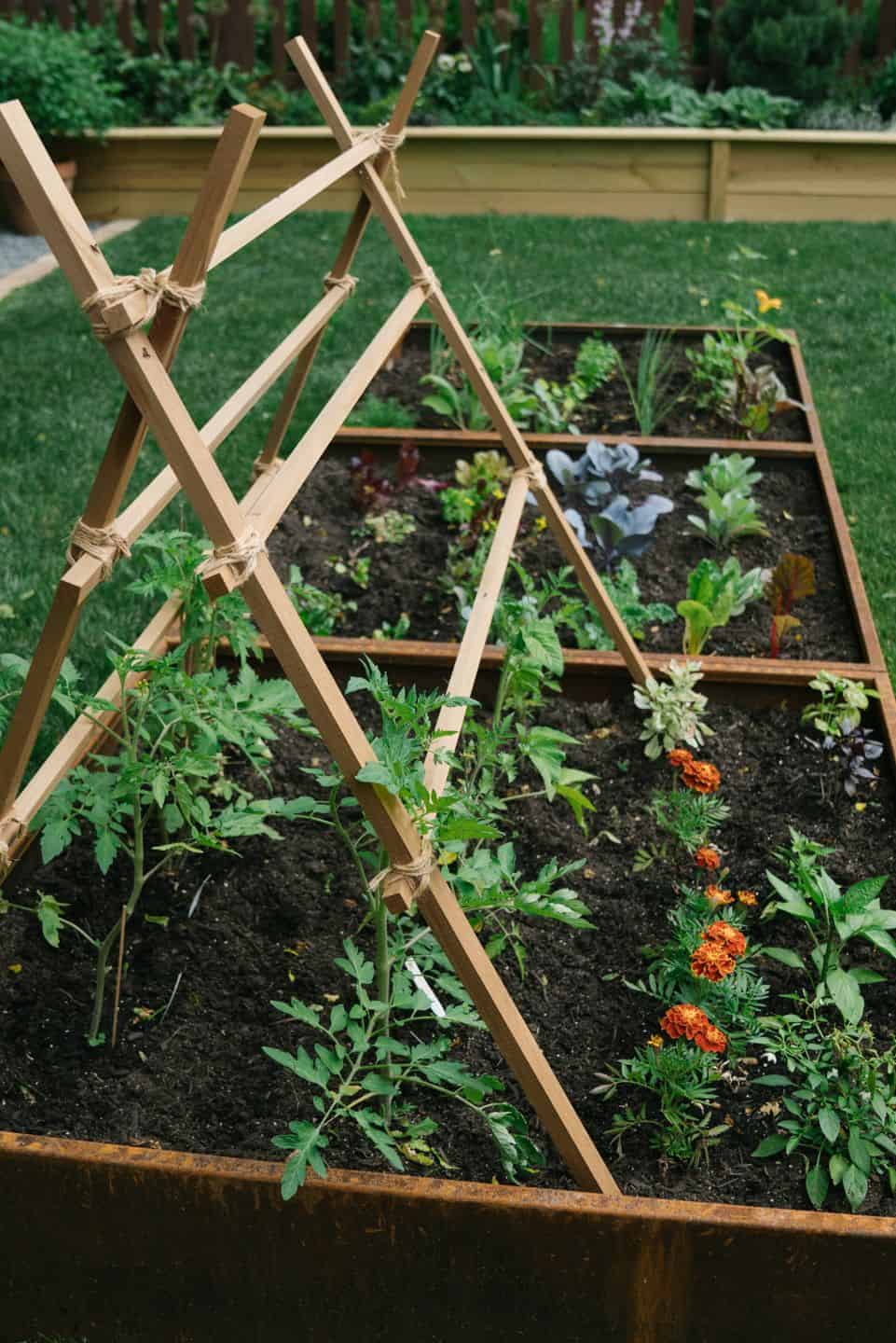 Corten_Steel__A_longer_lasting_more_modern_alternative_to_wood_raised_gardening_beds_1