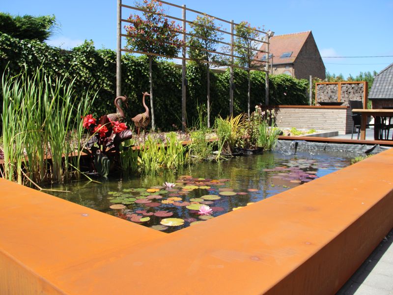 Bassin en acier corten avec nénuphars