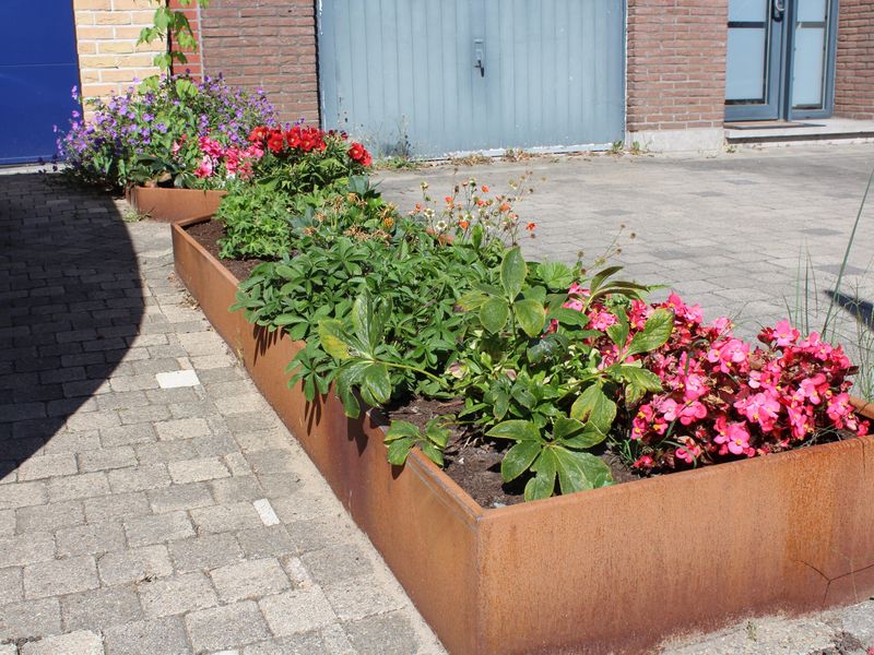 Bordure en acier corten autour d'un massif fleuri